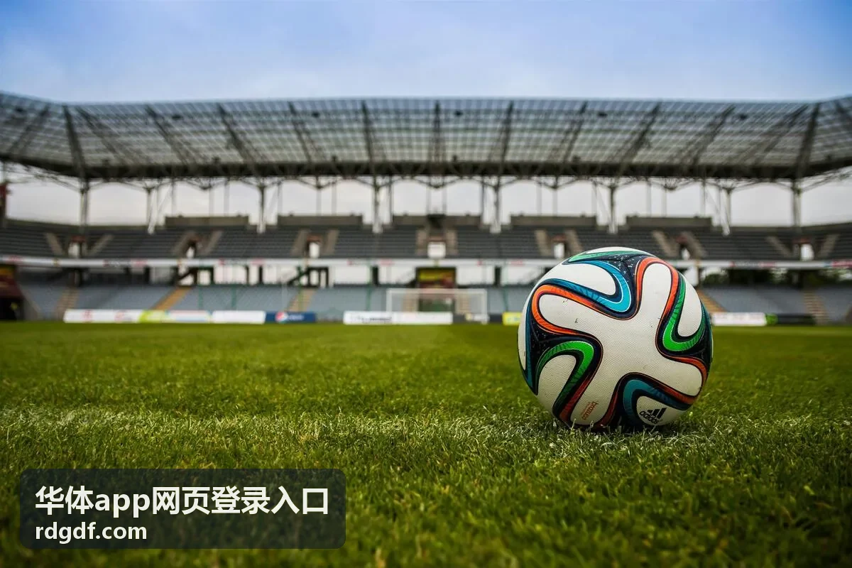 华体app网页登录入口使用问题解答页面中的浏览器环境检查示意图